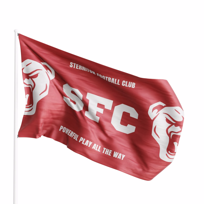 Large Flag 3' x 5' Full Color (Small Quantity)
