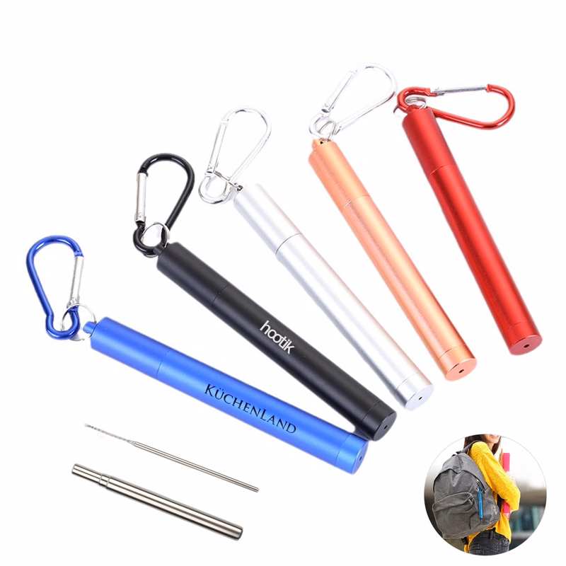 Reusable Stainless Steel Straw with Case