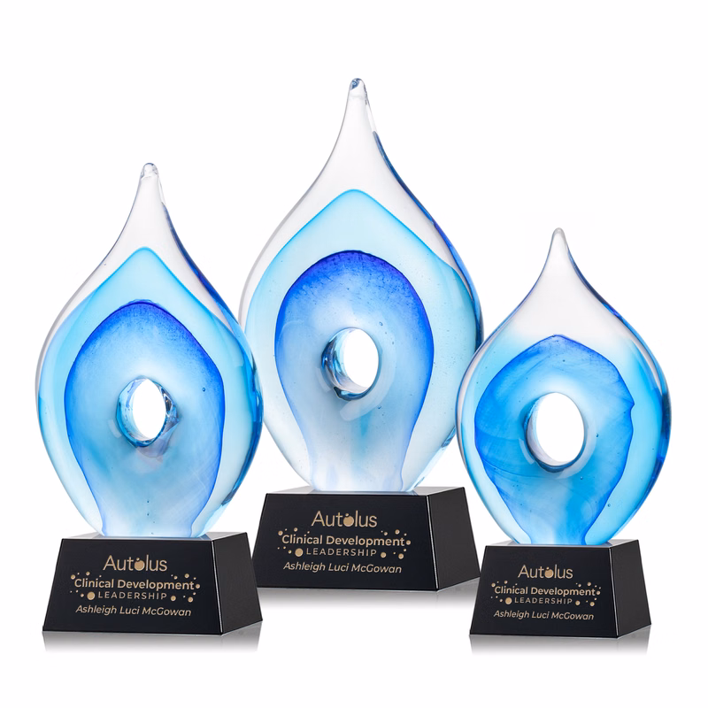Caspian Award on Robson Black