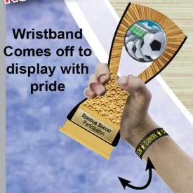 Trophy Bands Special Resin Trophy 1