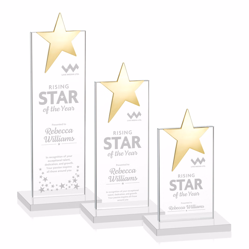 Bryanston Gold Star Award - White