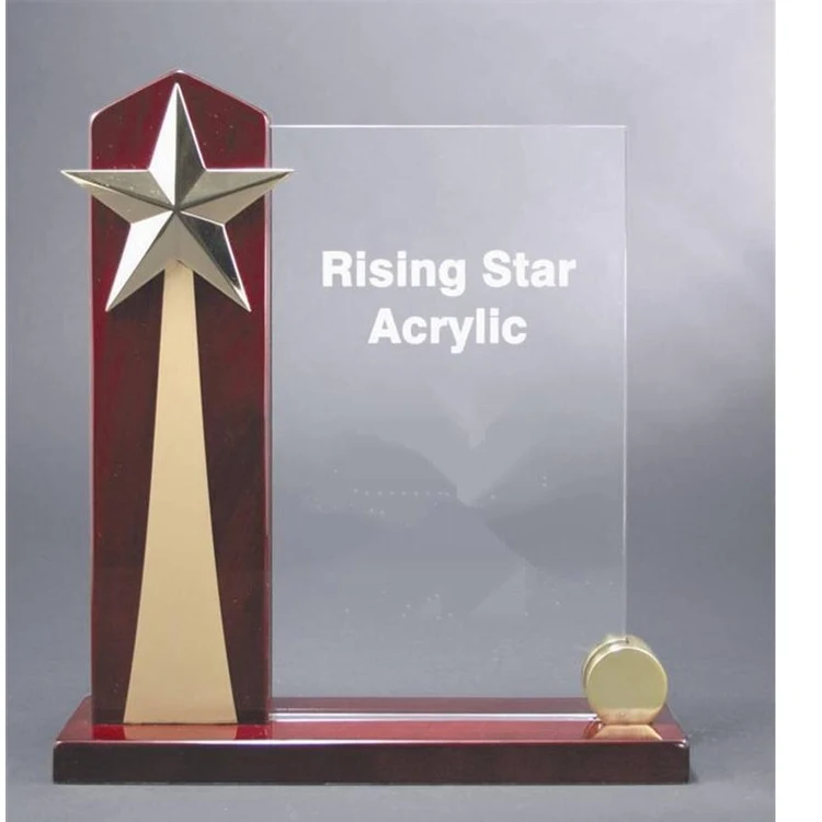 9" x 9 1/2" Rising Star Acrylic Award 1