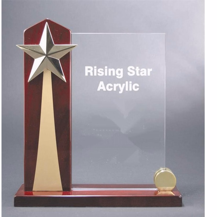 9" x 9 1/2" Rising Star Acrylic Award