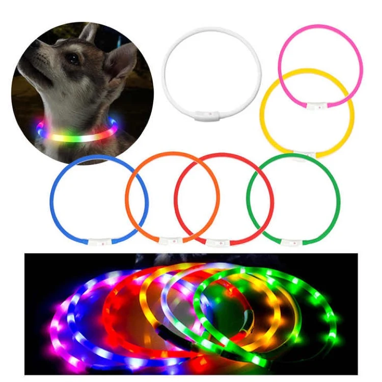 Led Dog Collar 1
