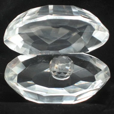 Crystal Pearl In Shell 1