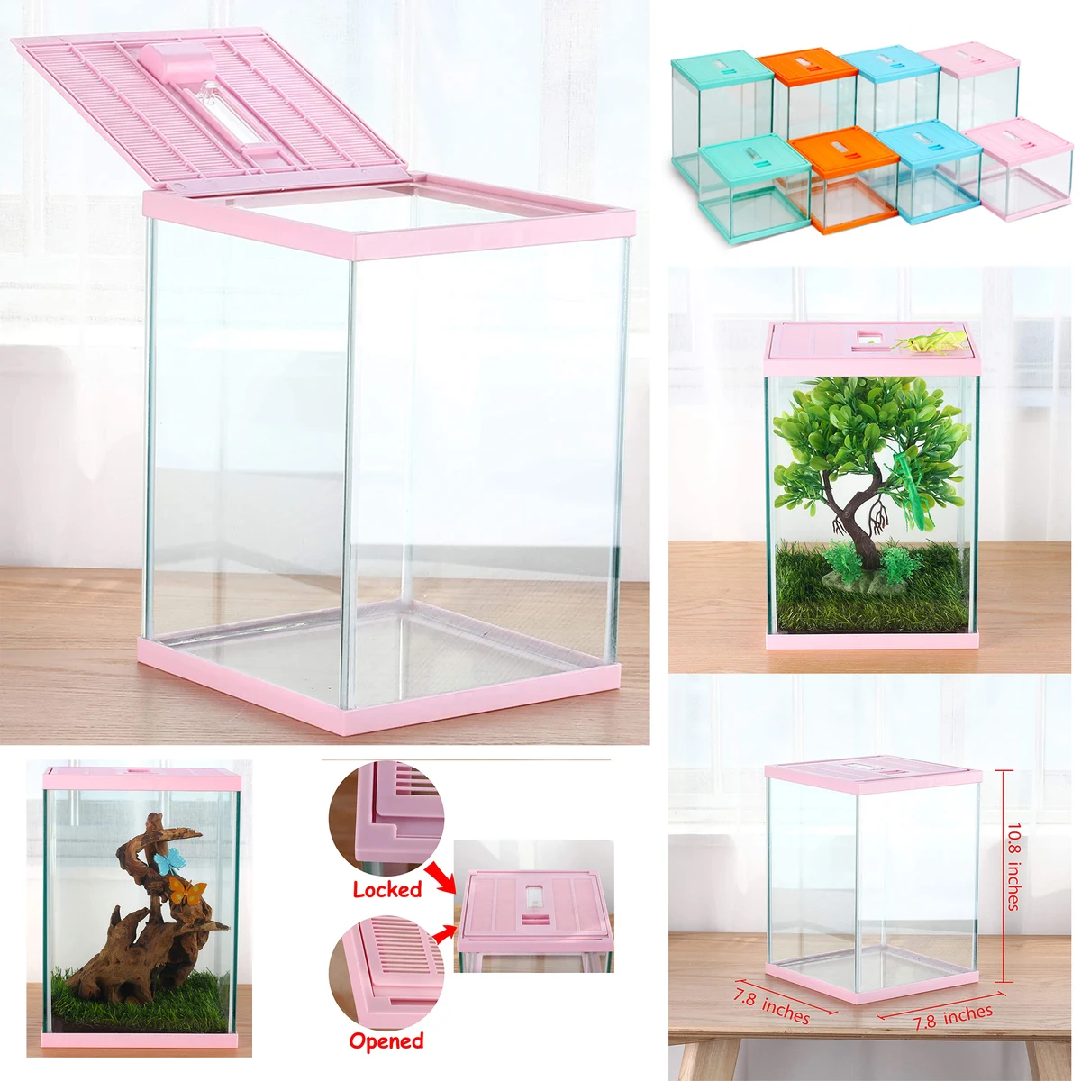 Vertical Insect GlassTerrarium 1