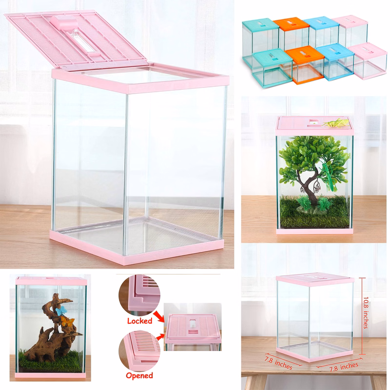 Vertical Insect GlassTerrarium
