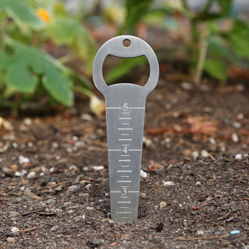 Evergreen Stainless Seed Depth Measuring Tool