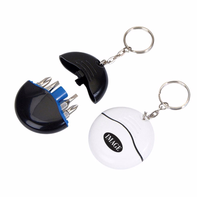 Keychain w/ Mini Screwdriver Set