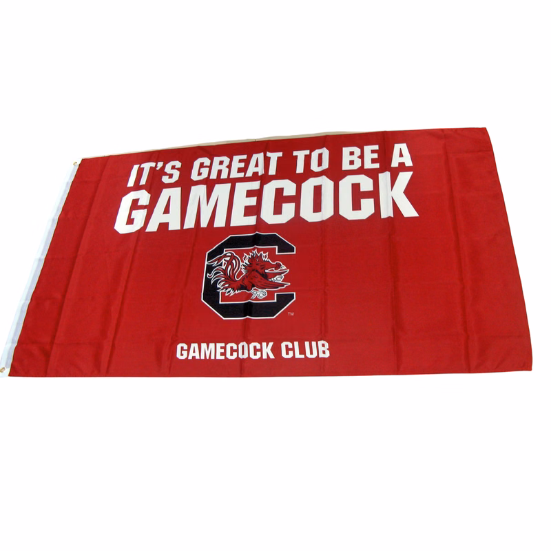 5x8ft Flag - Economy Polyester Indoor/Limited outdoor - Cust