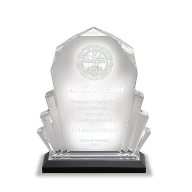 6" x 8" Blue Faceted Acrylic Trophy - Small 1