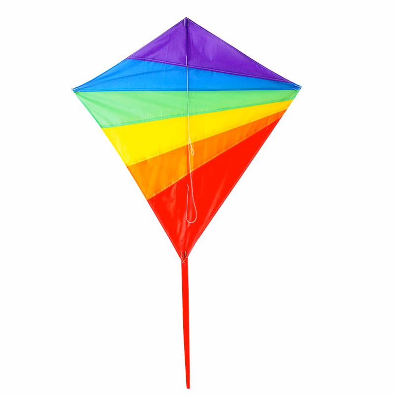 Easy to Fly Kite for Kids