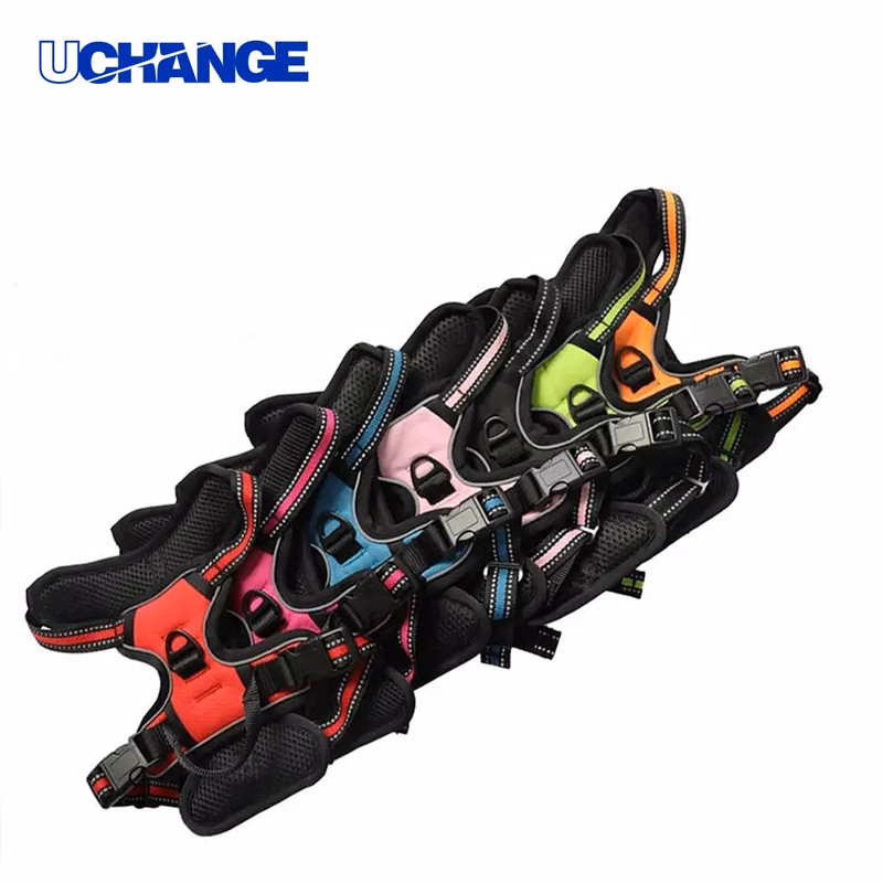 Outdoor Pet Harness Accessory for Walking