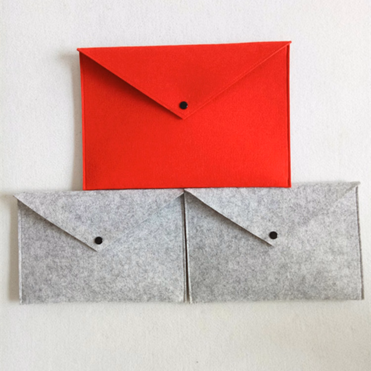 Document Case