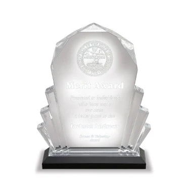 6" x 8" Silver Faceted Acrylic Trophy - Small 1