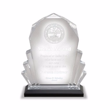 6" x 8" Silver Faceted Acrylic Trophy - Small