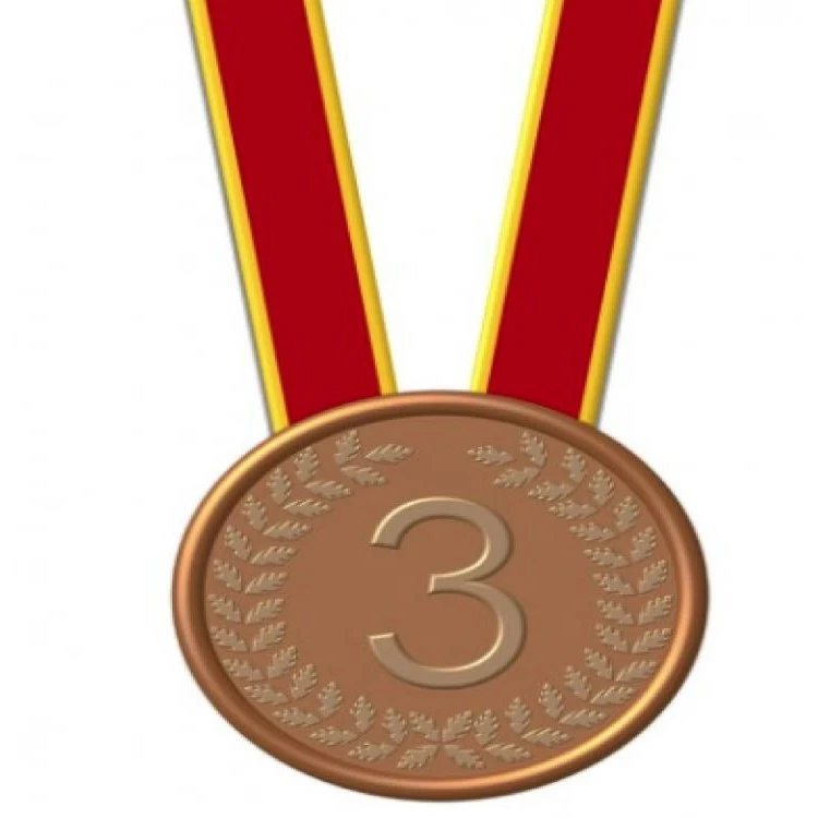 Customized Antique Bronze Plated Solid Iron Medal 1