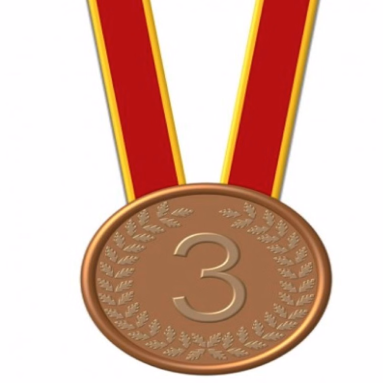 Customized Antique Bronze Plated Solid Iron Medal