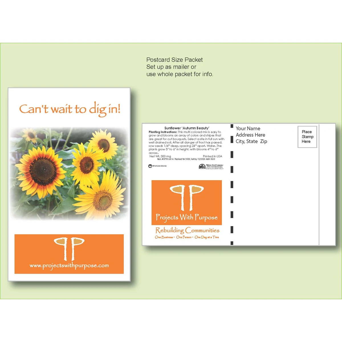 Sunflower Autumn Beauty Seed Packet - Postcard Mailer Size 4" x 6.5" 1