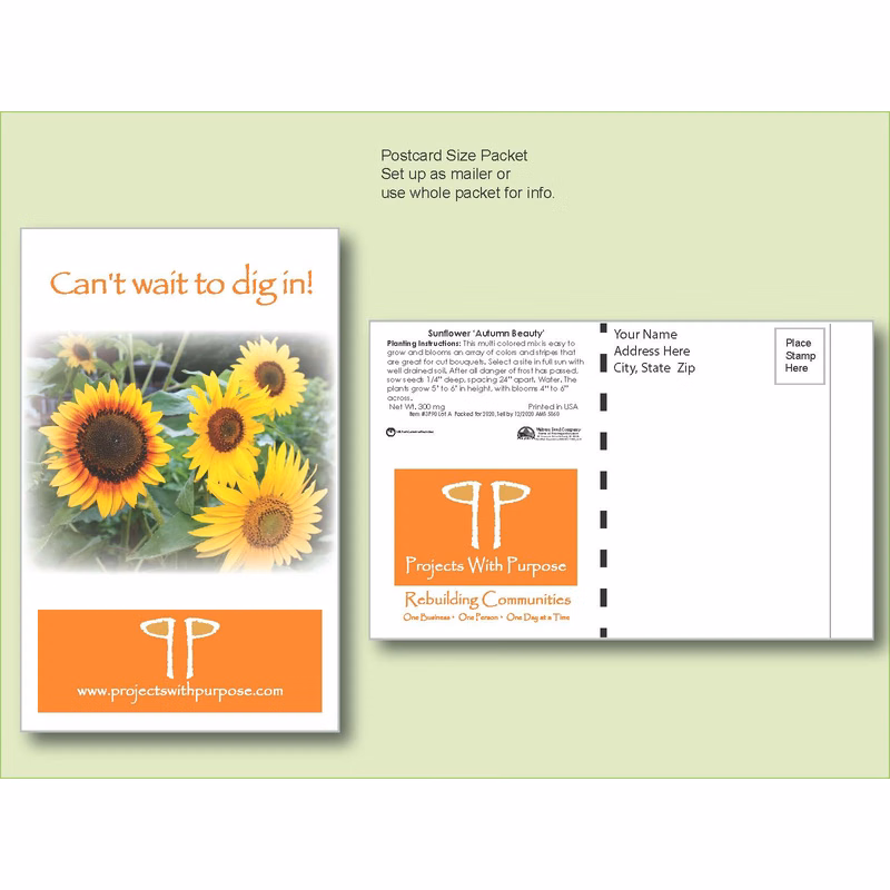 Sunflower Autumn Beauty Seed Packet - Postcard Mailer Size 4" x 6.5"