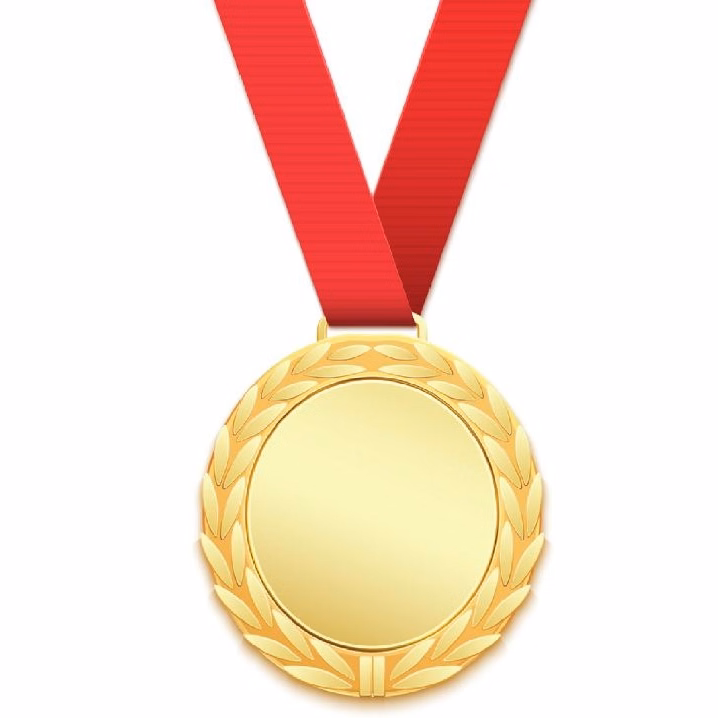 Customized Shiny Gold Plated Zinc Alloy Medal