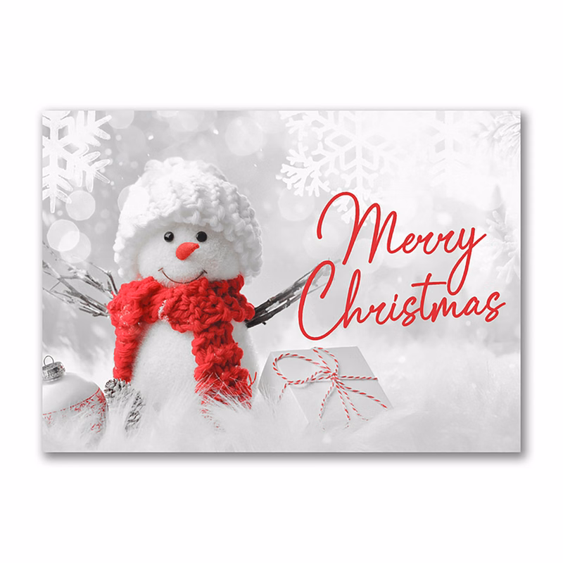 Snowy Greeting Economy Holiday Card