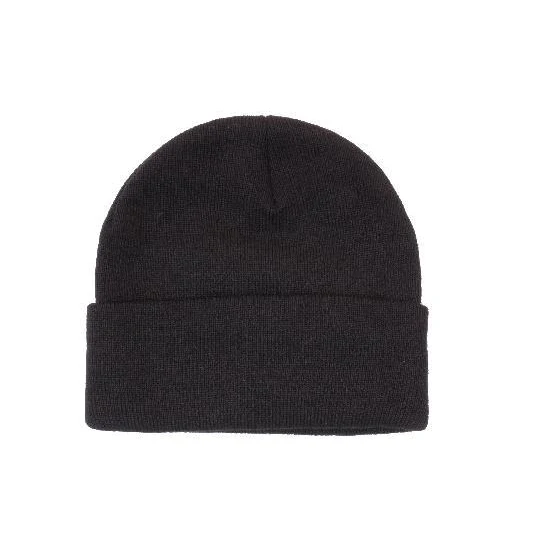 Acrylic Beanie with Thinsulate Lining 1