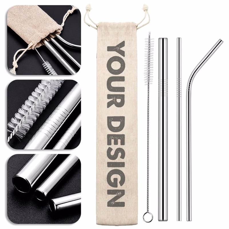 Eco-Friendly Stainless Steel Straw Kit