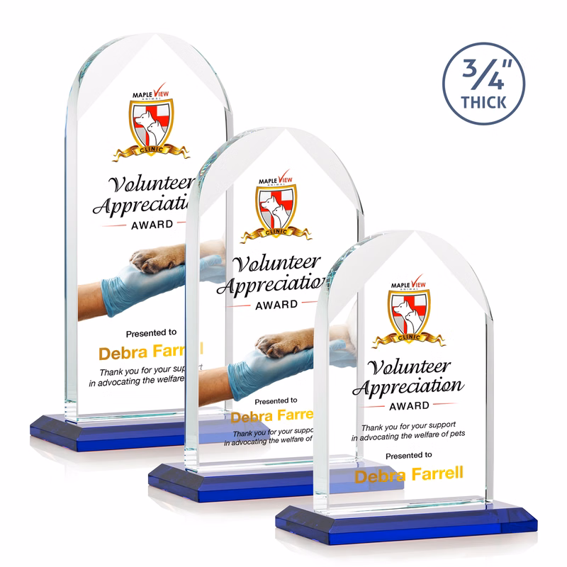 Blake VividPrint™ Award - Blue