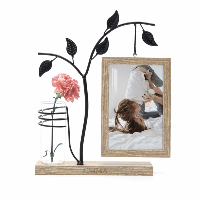 Iron Art Picture Frame Planter Holder for Home Office