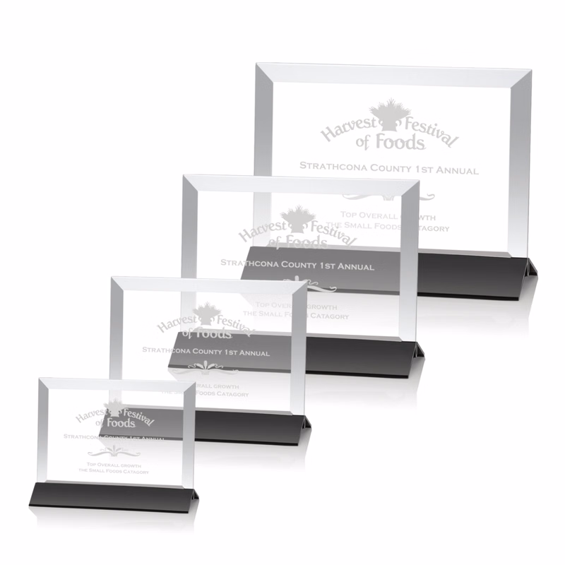 Rainsworth Award - Black/Horizontal