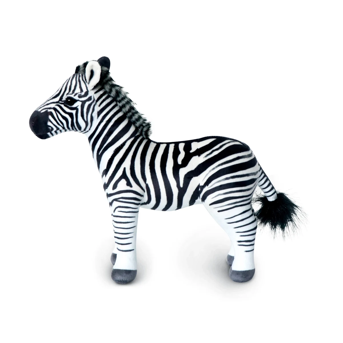 Zebra 1