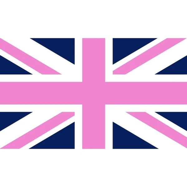 England Blue Stick Flag 1