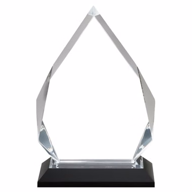 7 3/4" x 5 1/4" Clear Silver Diamond Acrylic Award