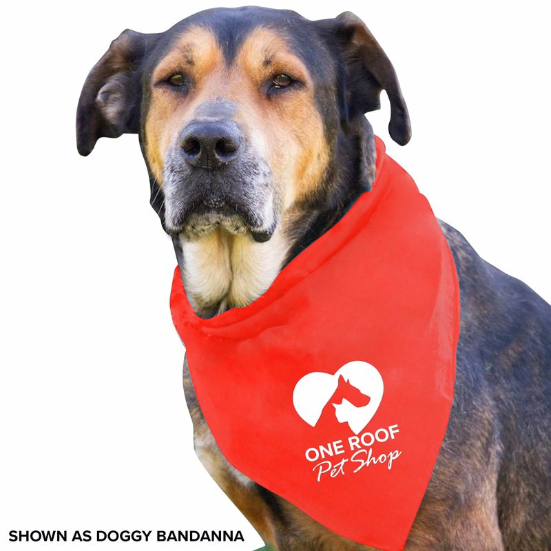 Large Triangle Bandana