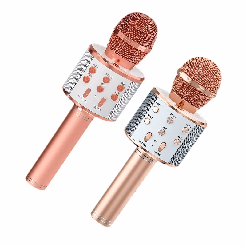 Metal karaoke Microphone