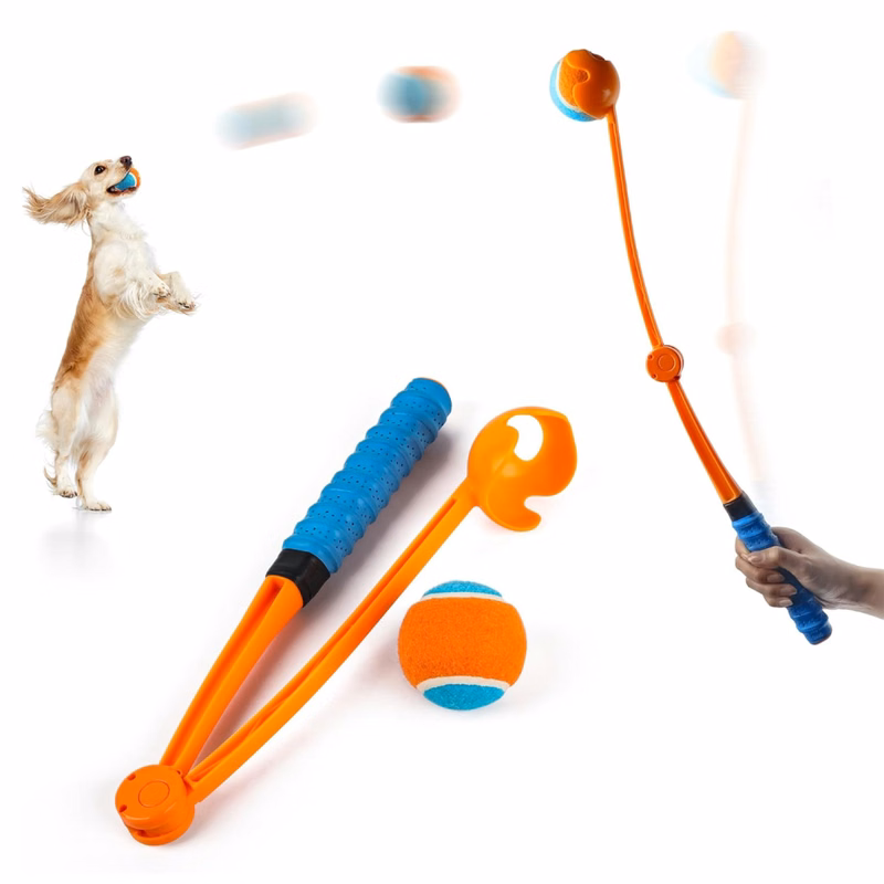 The pet dog throws a golf club