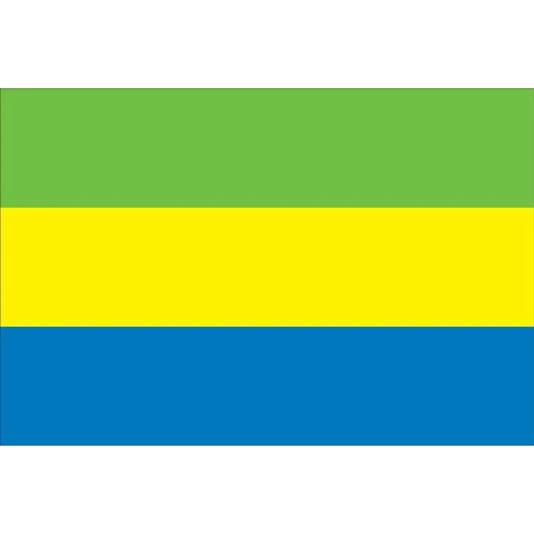 Gabon Flag - 5' x 8' - Nylon 1