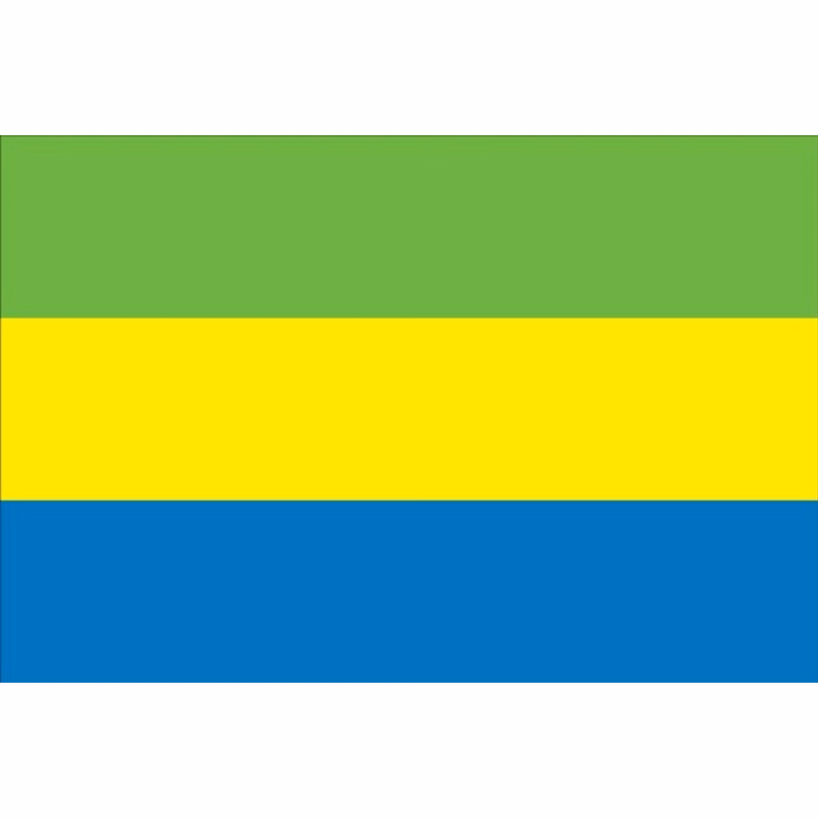 Gabon Flag - 2' x 3' - Nylon