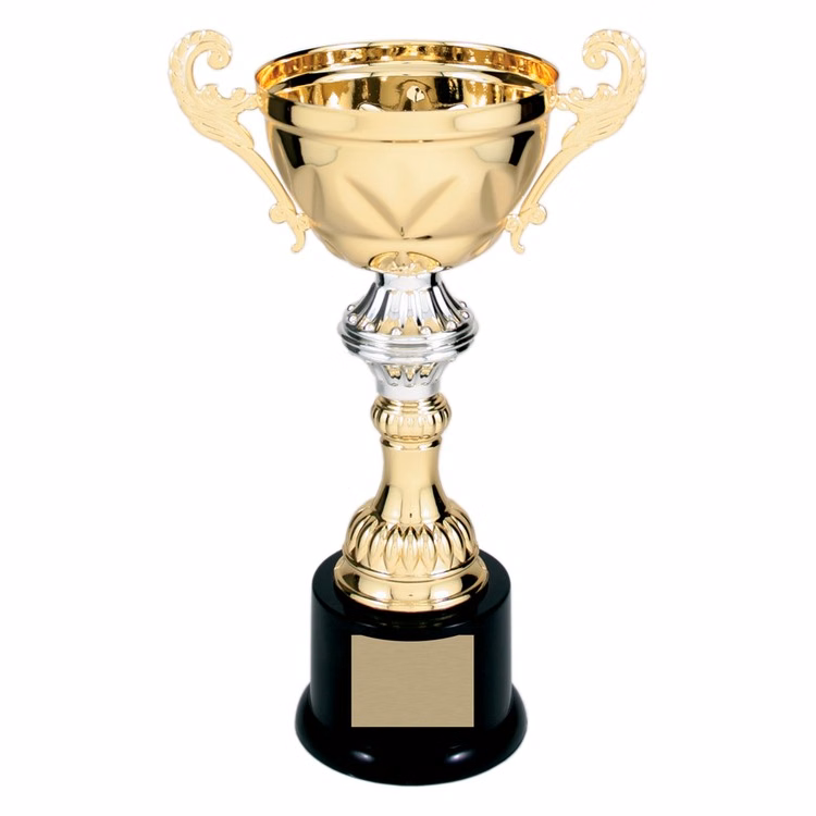10" Tall Gold Metal Cup Trophy