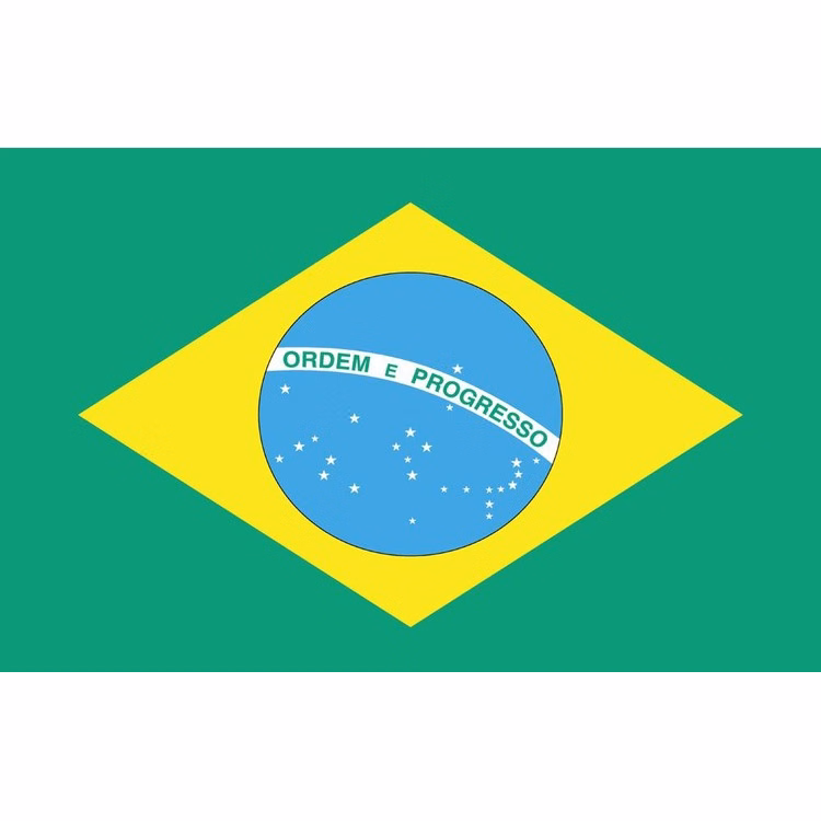 Brazil Flag - 2' x 3' - Nylon