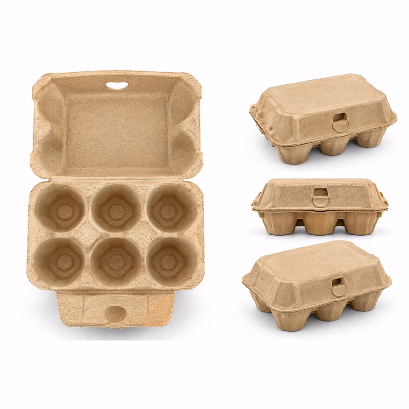 Pulp Egg Cartons