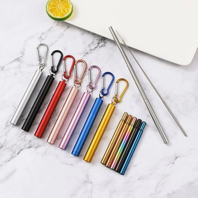 Collapsible Stainless Steel Drinking Straws