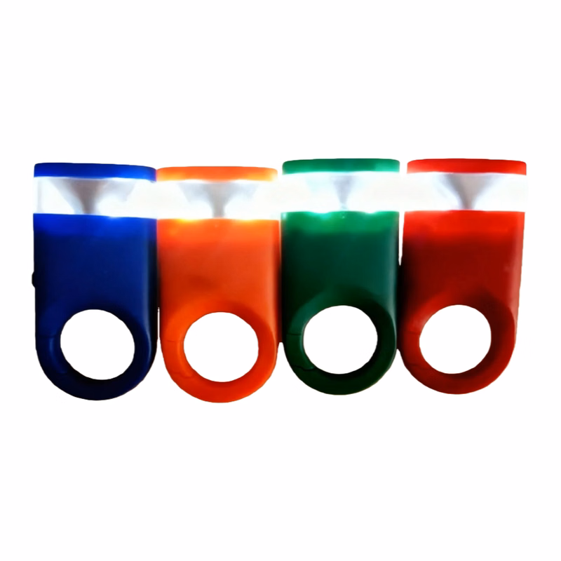 Dual Shine LED Light Carabiner