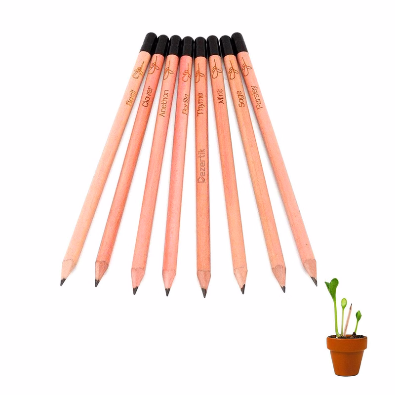 Customized Daisy Seed Germination Pencil