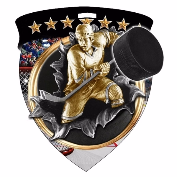 Color Burst Medals/Hockey