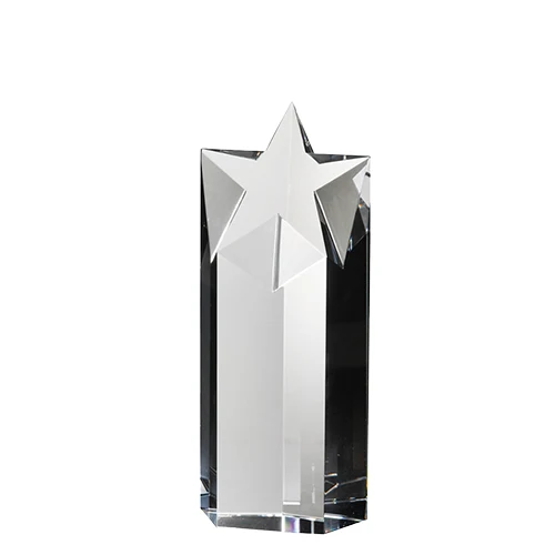 STARLITE AWARD MEDIUM 1