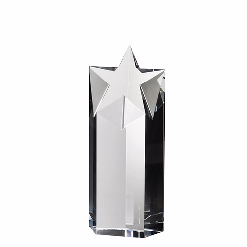 STARLITE AWARD MEDIUM