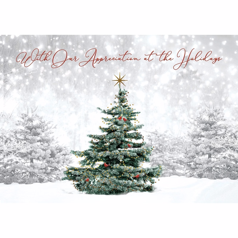 Spruced Up Holiday Cards