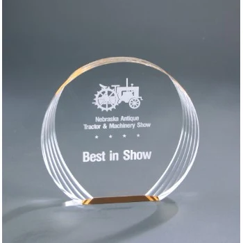6 1/2" x 6" Gold Round Acrylic Award 1